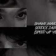 Сердце Забрала Speed Up