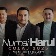 Fratii Din Barbulesti
