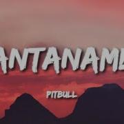 Pitbull She S Hot