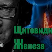 Матрица Гаряева Щитовидная