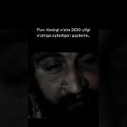 Бу Шунчаки Енгил Шамол