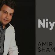 Amir Shamloo