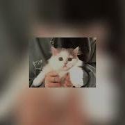 Девочкк В Тренди Speed