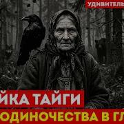 Фильм Хозяйка Тайги