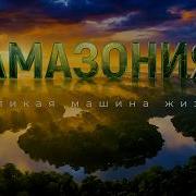 Джунгли Амазонки