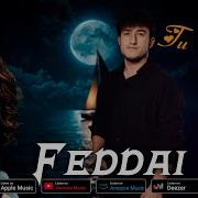 Фидои Ту Мерави