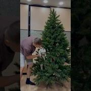 У Елочки Вихорева