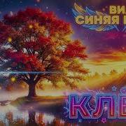Клён I Ии Кавер