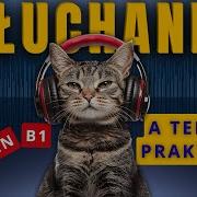 Słuchanie Po Polsku