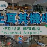 土耳其航空招聘机场地勤