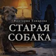 Аудиорассказы Про Собак