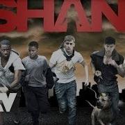 Shank Trailer 2010