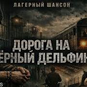 Дорога На Чёрный Дельфин