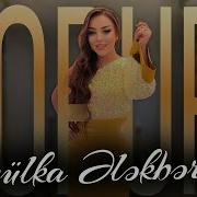 Gulka Elekberli Popuri