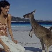 Где Ты Ходишь