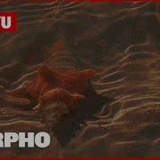 Somyu Morpho Extended Mix