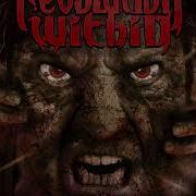 Revolution Within Chaos