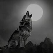 Garik Волком Выть Одному