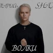 Шаман Люди Волки