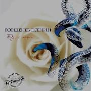 Куда Шальная Жизнь Ушла