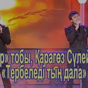 Тербеледі Тың Дала