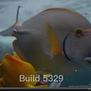 Windows Longhorn Build Startup