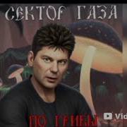 Сектор Газа По Грибы