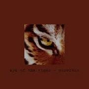 Eye Of The Tiger Speed