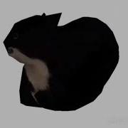 Maxwell The Cat Theme 10 Mins