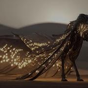 Xàánth Paul Hinderer