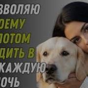 Секс С Конём Рассказ