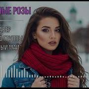 Серебряные Розы Ai Кавер На Песню Группы Ласковый Май