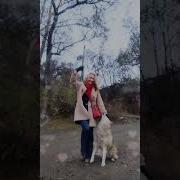 Каждый День Как Новый Праздник К Сердцу Ты Прими