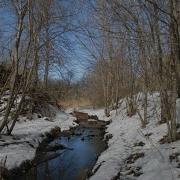 Токемакова Ручей