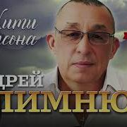 Андрей Климнюк Все Альбомы