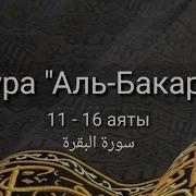 Сура Аль Бакара 11 16