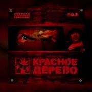 Кишки Мелочь Минус