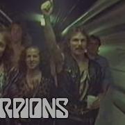 Night Scorpions