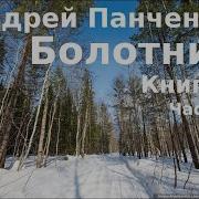 Аудиокнига Болотник 6