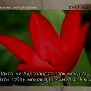 Панди Бузургон