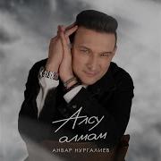 Алсу Алмам Анвар Нургалиев