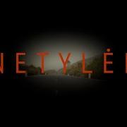 Tylek Netylek