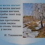 Токмакова Весна