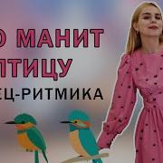 Что Манит Птичку