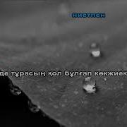 Дариға Жүрек Караоке