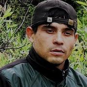 Шоҳини Насими Маву Ту