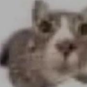 Lemon Demon Fine Перевод