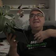 Неполживые Дновости Канала Лохпожизни 24 Марта 2026 Гойда