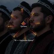 Таджик Бача