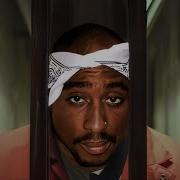2Pac Jail Cell 2023